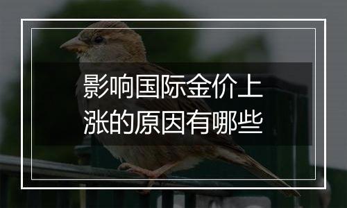 影响国际金价上涨的原因有哪些