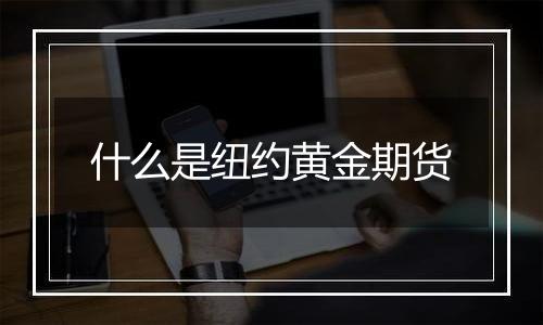 什么是纽约黄金期货