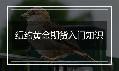 纽约黄金期货入门知识