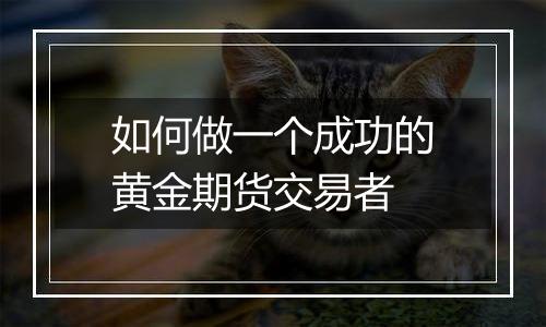 如何做一个成功的黄金期货交易者