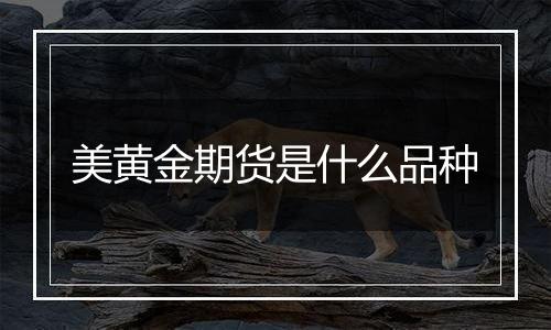 美黄金期货是什么品种