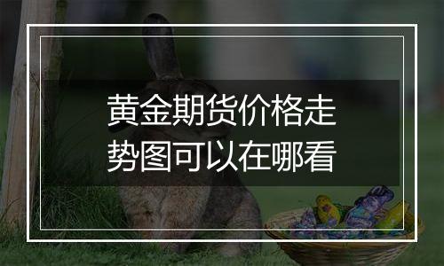 黄金期货价格走势图可以在哪看