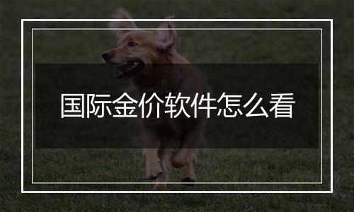 国际金价软件怎么看