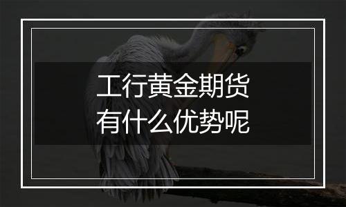 工行黄金期货有什么优势呢