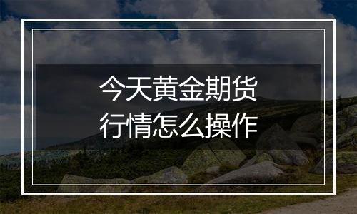 今天黄金期货行情怎么操作