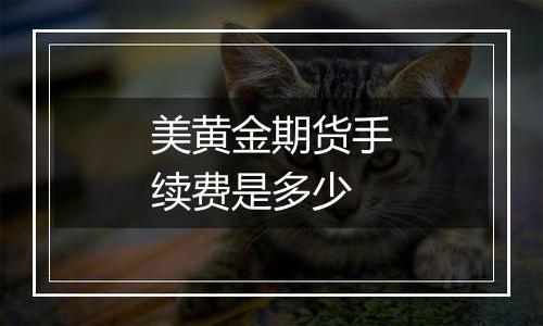美黄金期货手续费是多少