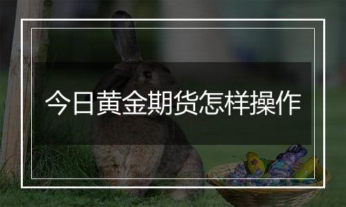 今日黄金期货怎样操作
