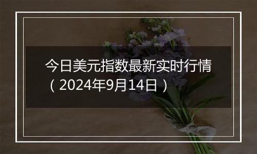 今日美元指数最新实时行情(2024年9月14日)