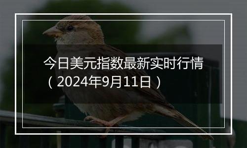 今日美元指数最新实时行情(2024年9月11日)