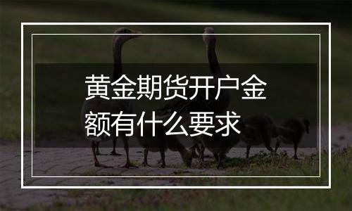 黄金期货开户金额有什么要求