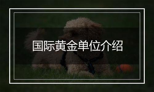 国际黄金单位介绍