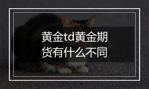 黄金td黄金期货有什么不同