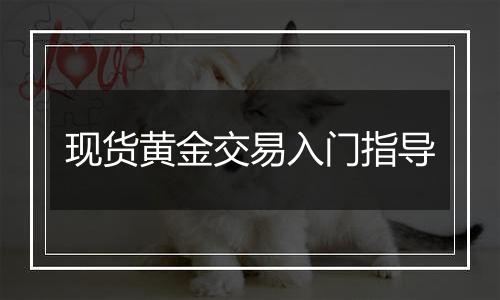 现货黄金交易入门指导