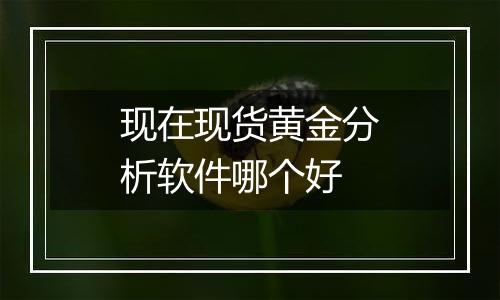 现在现货黄金分析软件哪个好