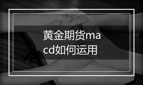 黄金期货macd如何运用
