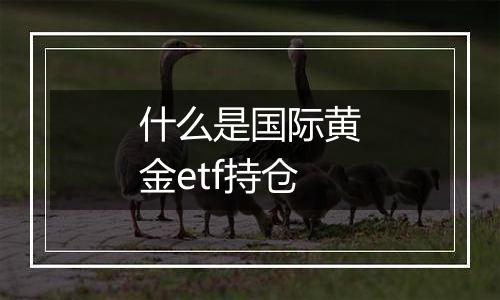 什么是国际黄金etf持仓