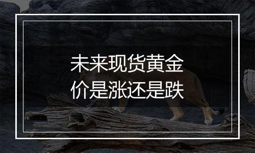 未来现货黄金价是涨还是跌