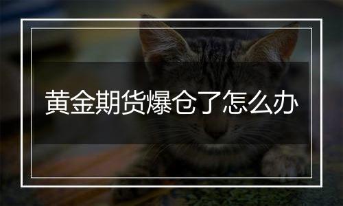 黄金期货爆仓了怎么办