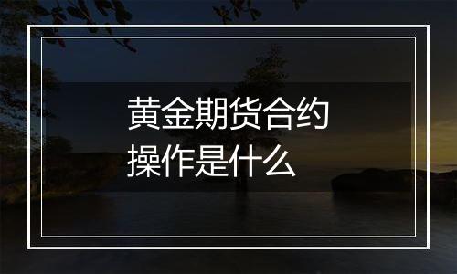黄金期货合约操作是什么