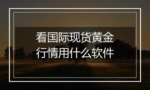 看国际现货黄金行情用什么软件