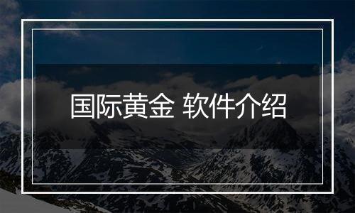 国际黄金 软件介绍