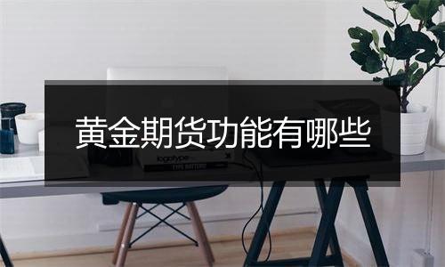 黄金期货功能有哪些