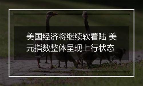 美国经济将继续软着陆 美元指数整体呈现上行状态