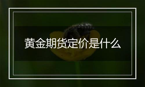 黄金期货定价是什么