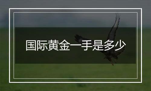 国际黄金一手是多少