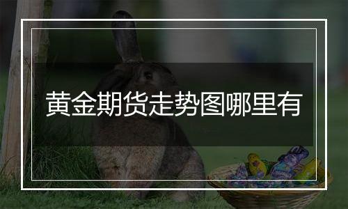 黄金期货走势图哪里有