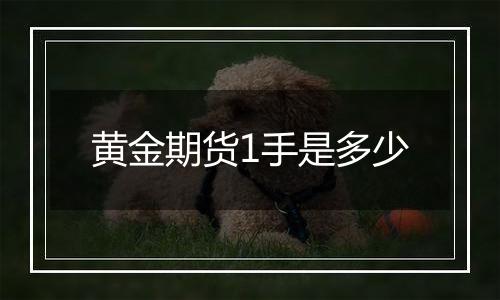 黄金期货1手是多少