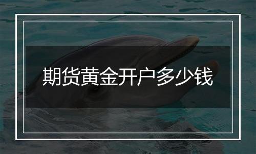 期货黄金开户多少钱