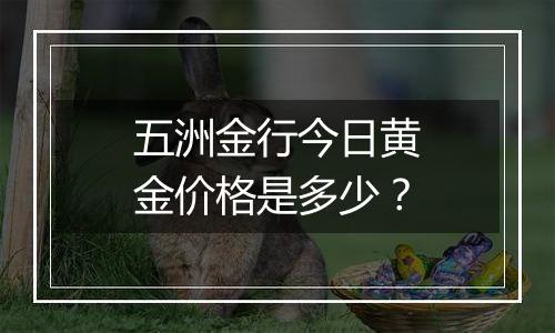 五洲金行今日黄金价格是多少？