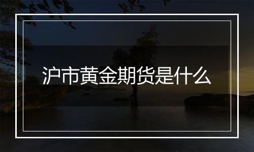 沪市黄金期货是什么