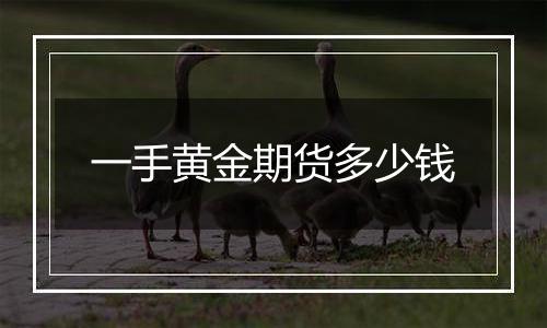 一手黄金期货多少钱