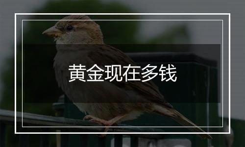 黄金现在多钱