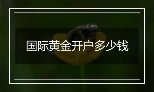 国际黄金开户多少钱