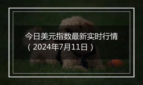 今日美元指数最新实时行情（2024年7月11日）