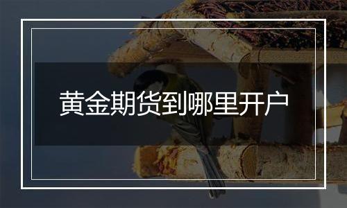 黄金期货到哪里开户