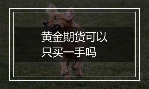 黄金期货可以只买一手吗