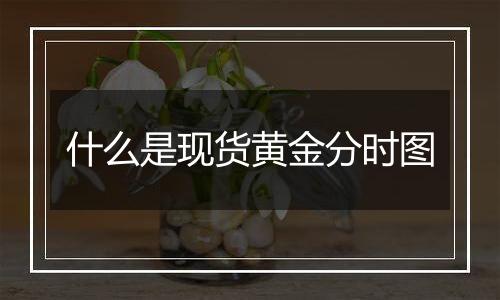 什么是现货黄金分时图