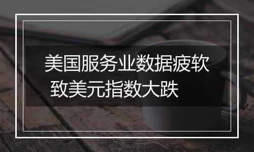 美国服务业数据疲软 致美元指数大跌