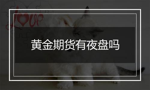黄金期货有夜盘吗