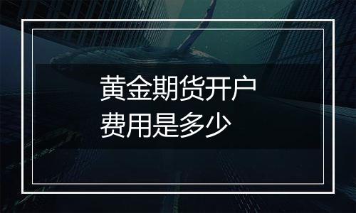 黄金期货开户费用是多少