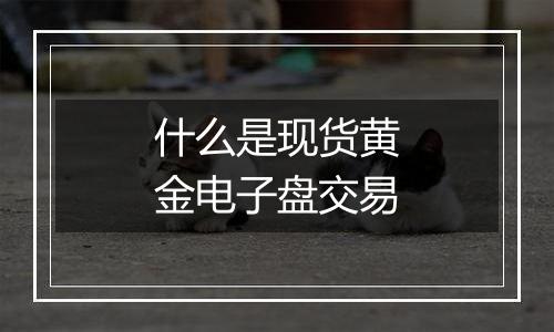 什么是现货黄金电子盘交易