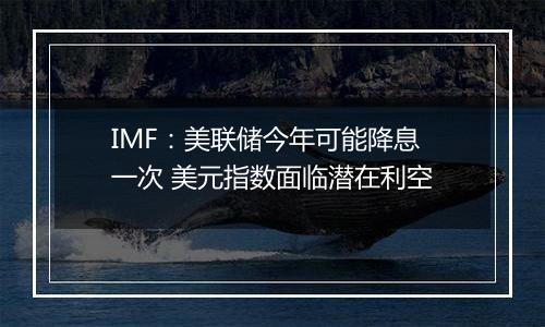 IMF:美联储今年可能降息一次 美元指数面临潜在利空