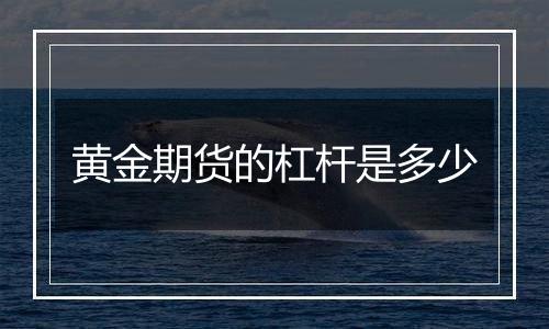 黄金期货的杠杆是多少