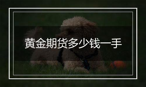 黄金期货多少钱一手