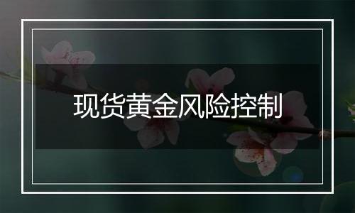 现货黄金风险控制
