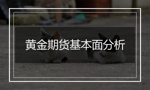 黄金期货基本面分析
